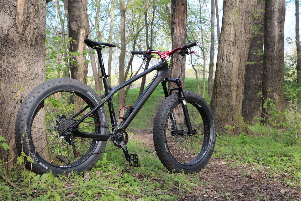 Les Fat bikes